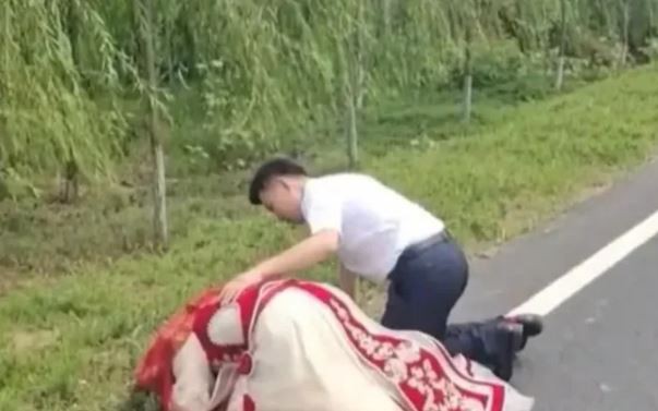 Thứ tưởng vô dụng trong rừng bất ngờ được săn lùng với giá gần 2 triệu đồng/kg, dân thi nhau đi nhặt - Ảnh 3.