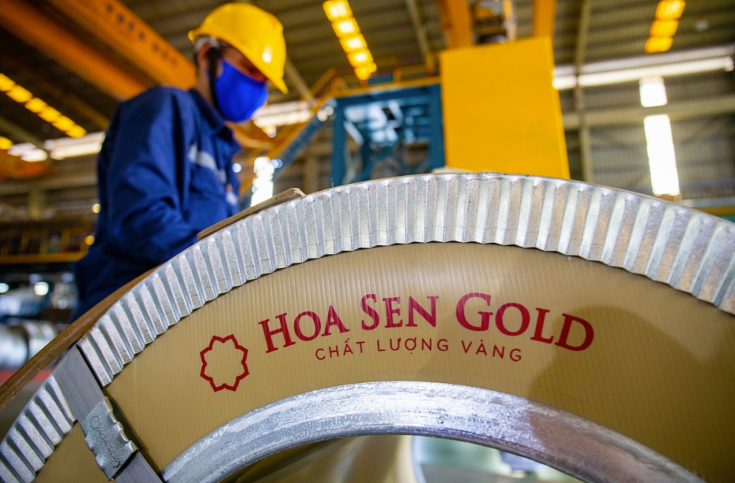 Hoa Sen Group tăng vốn vượt 8.000 tỷ đồng sau đợt trả cổ tức - Ảnh 1.