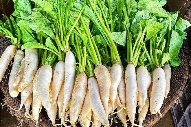Ăn sống thải độc, nấu chín tốt cho phổi, hầm kỹ bổ dạ dày: Loại củ được ví như "nhân sâm trắng" của người Việt - Ảnh 3.
