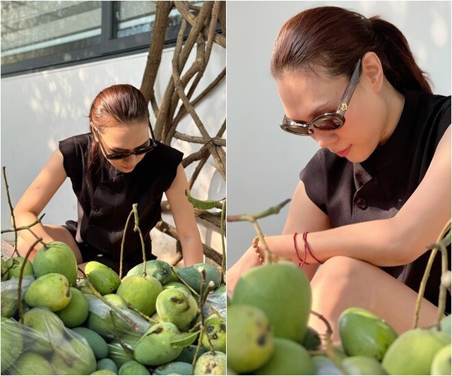 Tăng Thanh Hà, Mỹ Tâm đua nhau trồng 1 loại cây cho quả lúc lỉu: Ngon, sạch chẳng lo thuốc trừ sâu còn xóa nhăn da- Ảnh 2.