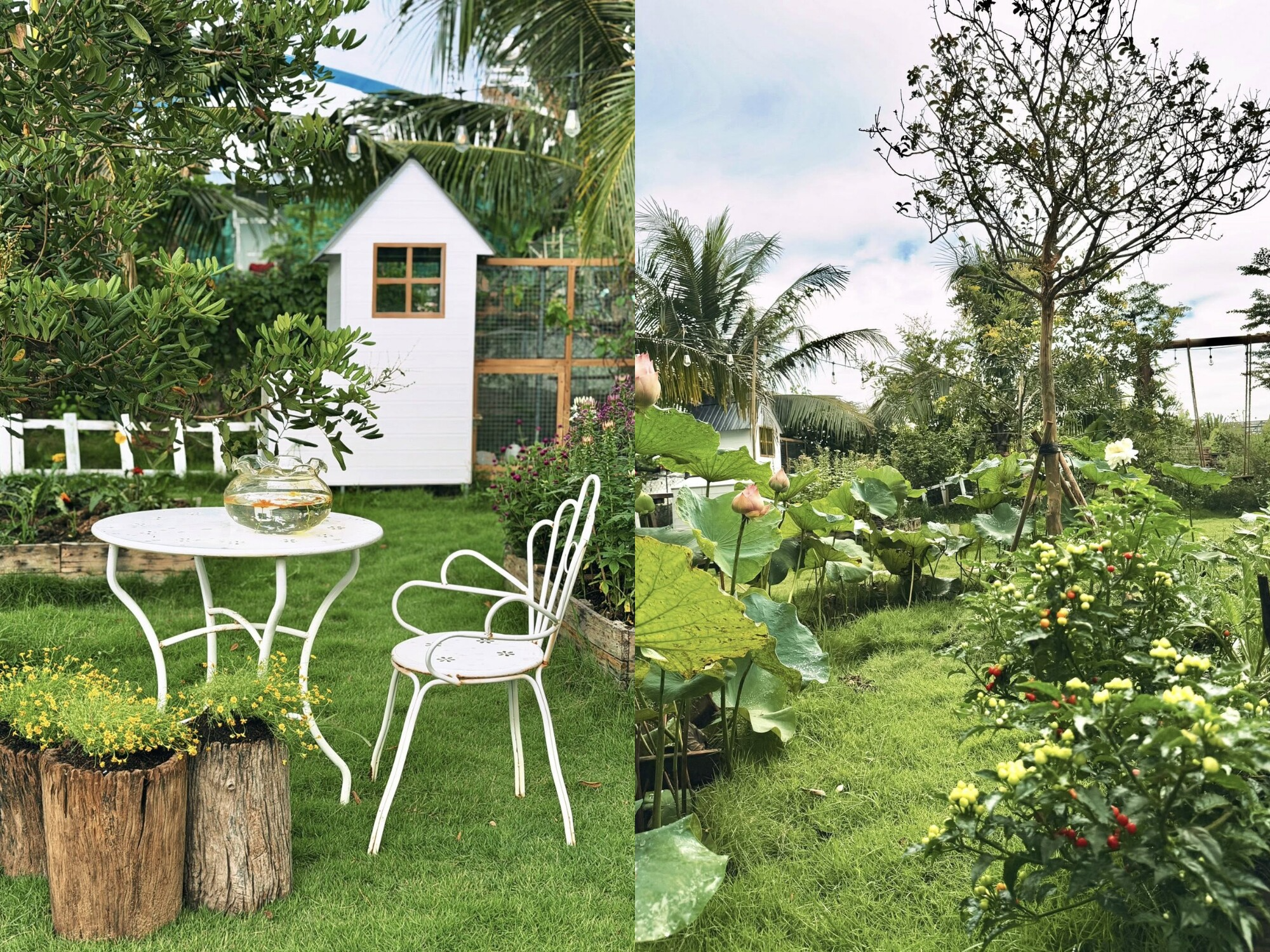 Bỏ việc văn phòng, dùng ChatGPT thiết kế khu vườn trên mảnh đất 1000m2: "Hết đau cổ vai gáy thì chuyển sang đau lưng vì cuốc đất"- Ảnh 27.