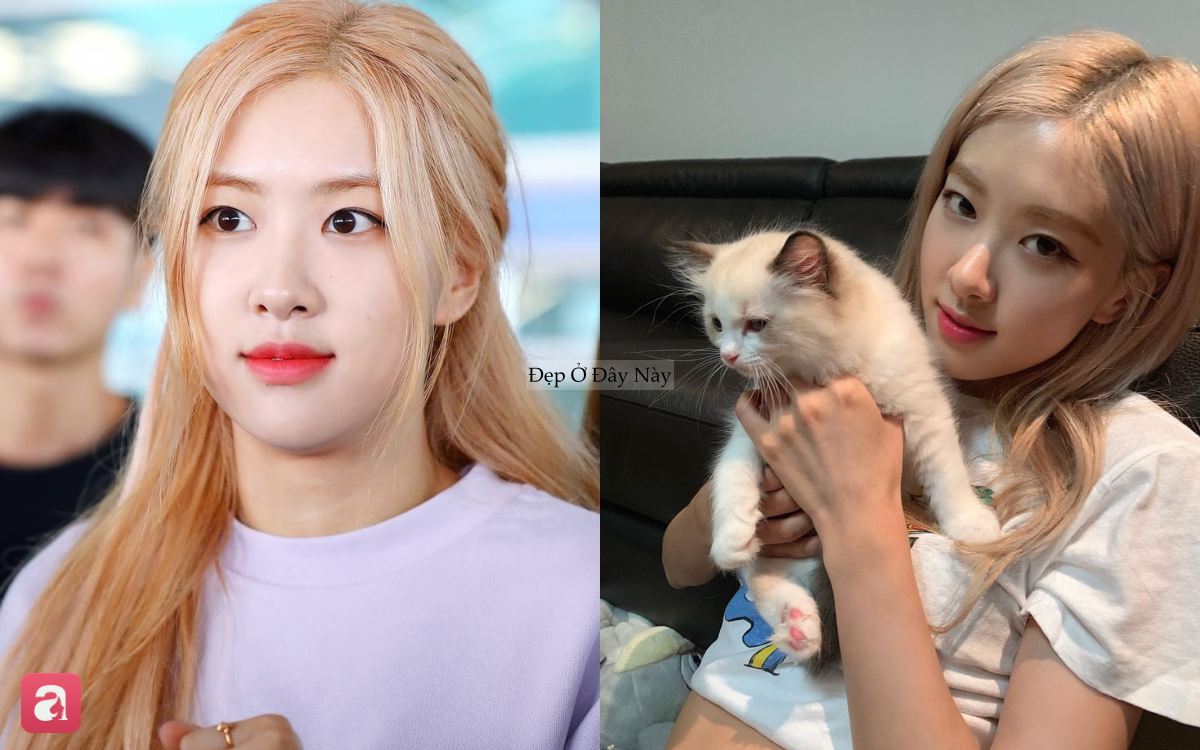 Bí kíp chăm sóc da từ BLACKPINK: 4 thói quen đơn giản nhưng giúp làn da luôn căng mịn, rạng rỡ - Ảnh 3.