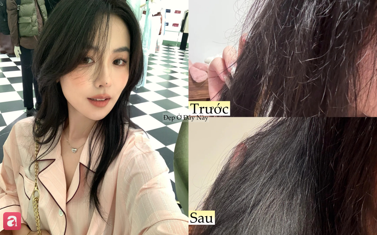Mái tóc khô xơ, thưa rụng của tôi đã thay đổi bất ngờ nhờ kiên trì với 5 món này- Ảnh 1.