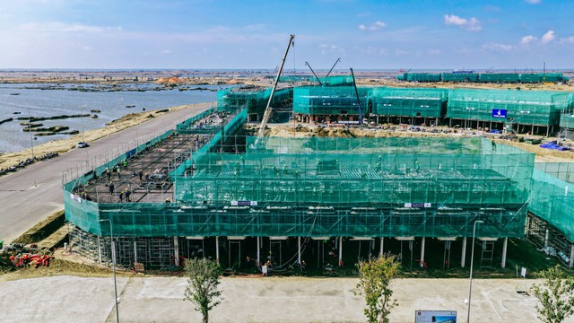 Chuyên gia kinh tế Đinh Thế Hiển: “Cần Giờ có thể đón 70-80 triệu lượt khách/năm” - Ảnh 2.