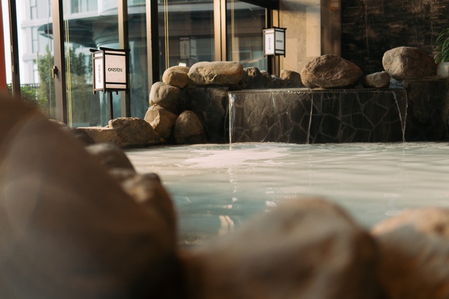 Khám phá các dòng khoáng tại Forest Onsen – Tổ hợp onsen trị liệu cách bến Bạch Đằng 30 phút lái xe- Ảnh 4.