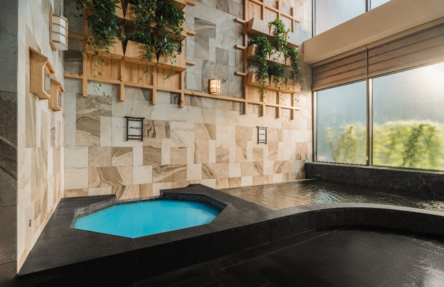 Khám phá các dòng khoáng tại Forest Onsen – Tổ hợp onsen trị liệu cách bến Bạch Đằng 30 phút lái xe- Ảnh 5.