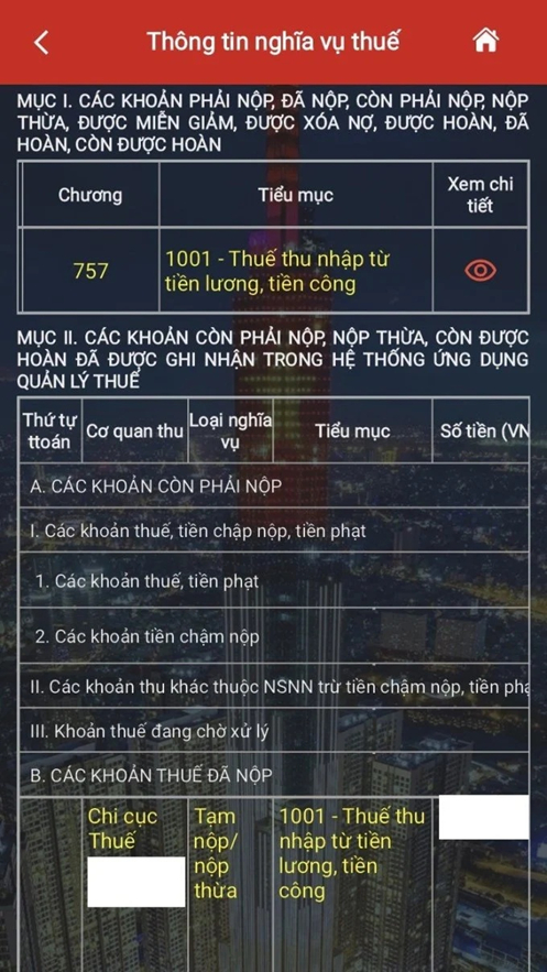 Một KOL vừa khoe đóng thuế hơn 500 triệu đồng, ảnh chụp màn hình rõ ràng công khai- Ảnh 8.