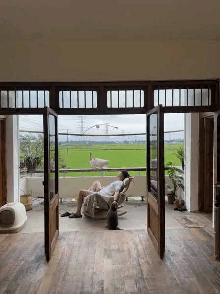 Chàng trai 9x sửa nhà khiến cả cõi mạng chú ý: View cánh đồng chill không thể tả, nhìn muốn bỏ phố về quê- Ảnh 4.