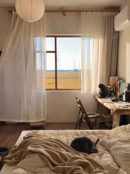 Chàng trai 9x sửa nhà khiến cả cõi mạng chú ý: View cánh đồng chill không thể tả, nhìn muốn bỏ phố về quê- Ảnh 6.
