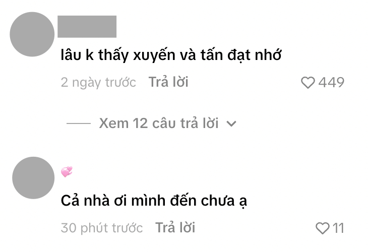 Loạt TikToker Nguyễn Tô Tấn Đạt, Hà Mid, Mơ Đi Xuyến cùng lên hot search vì 1 từ khoá gây chú ý: 2 người đã 
