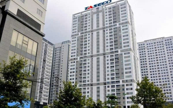 Taseco Land chốt ngày trả cổ tức và phát hành cổ phiếu thưởng- Ảnh 1.