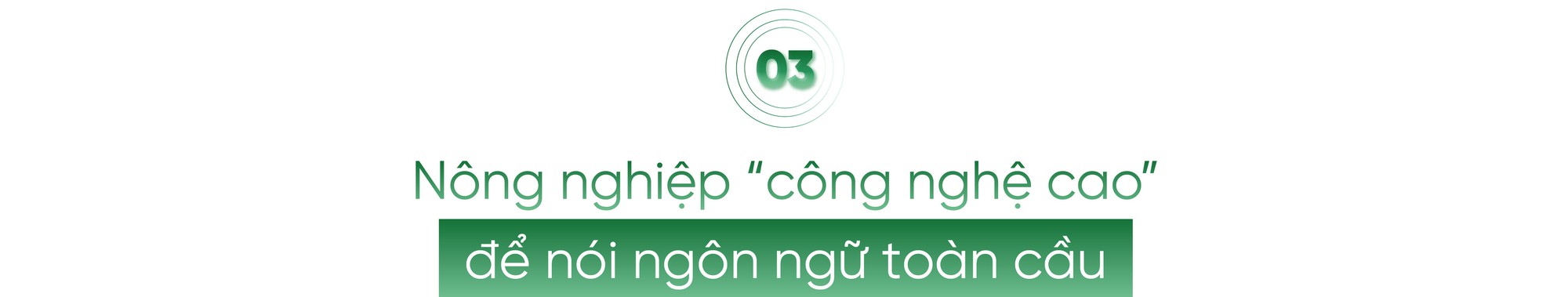 Đặng Huỳnh Ức My: Người gieo niềm tin vào hệ sinh thái nông nghiệp bền vững - Ảnh 9.