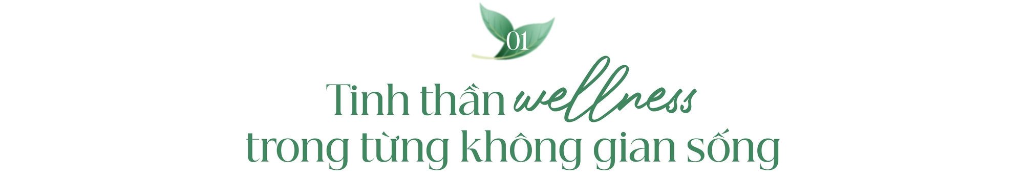The Peak Garden – Không gian sống wellness giữa nhịp đô thị khu Nam TP.HCM - Ảnh 1.