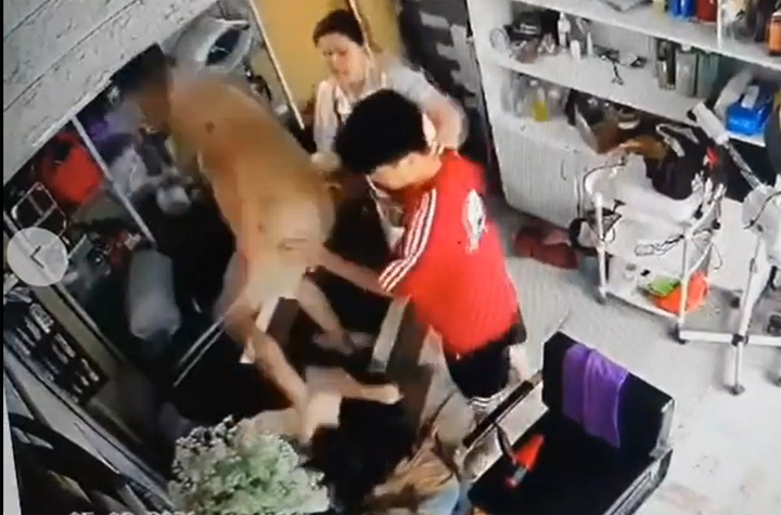 Tạm giữ 2 anh em xông vào quán cắt tóc hành hung phụ nữ đang ôm con nhỏ- Ảnh 2.