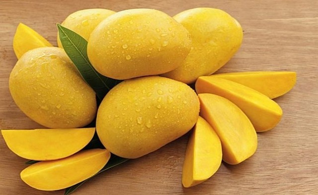 Tăng Thanh Hà, Mỹ Tâm đua nhau trồng 1 loại cây cho quả lúc lỉu: Ngon, sạch chẳng lo thuốc trừ sâu còn xóa nhăn da- Ảnh 3.
