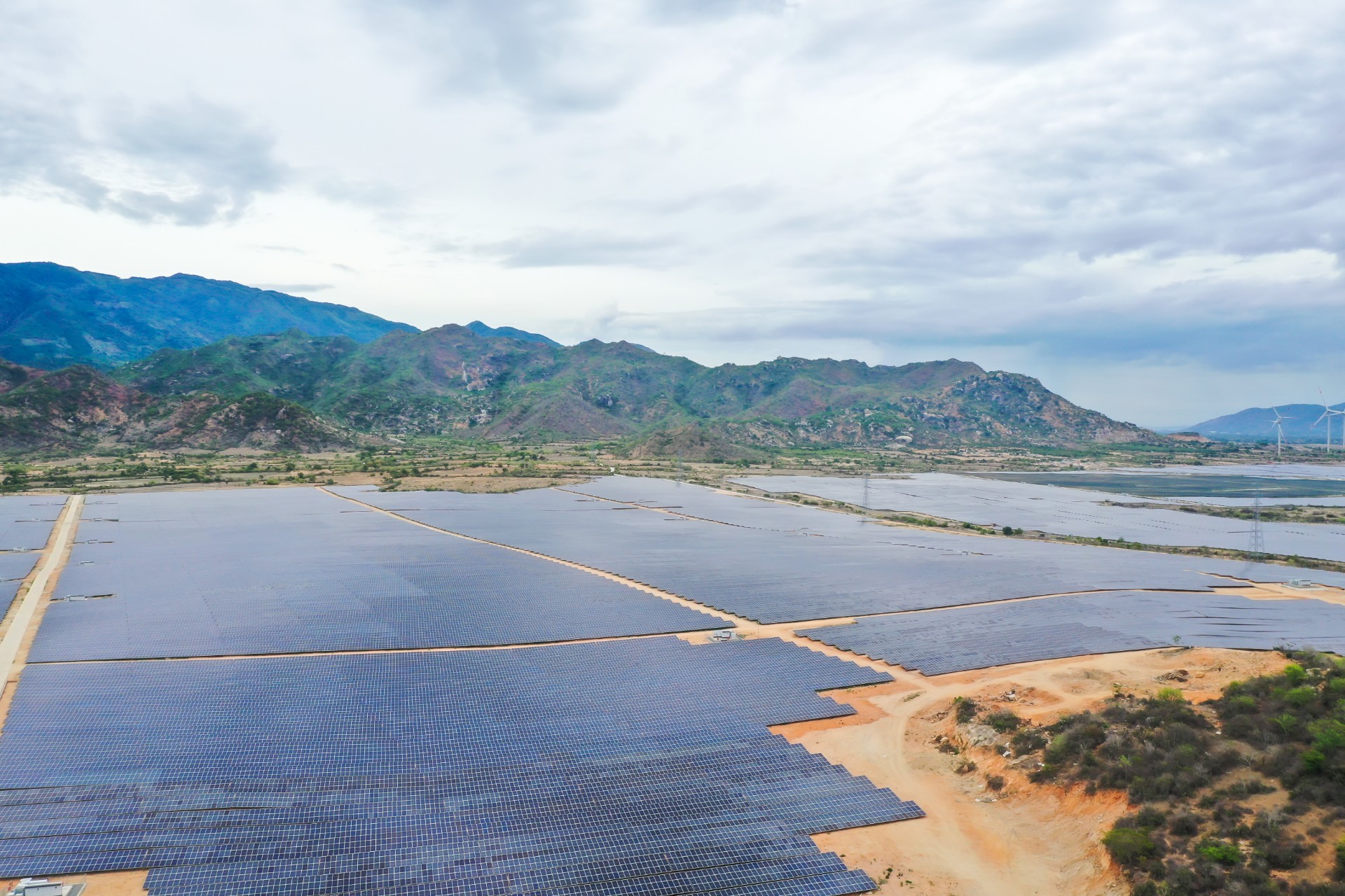 Tập đoàn Xuân Thiện bị phạt do không công bố thông tin- Ảnh 1.