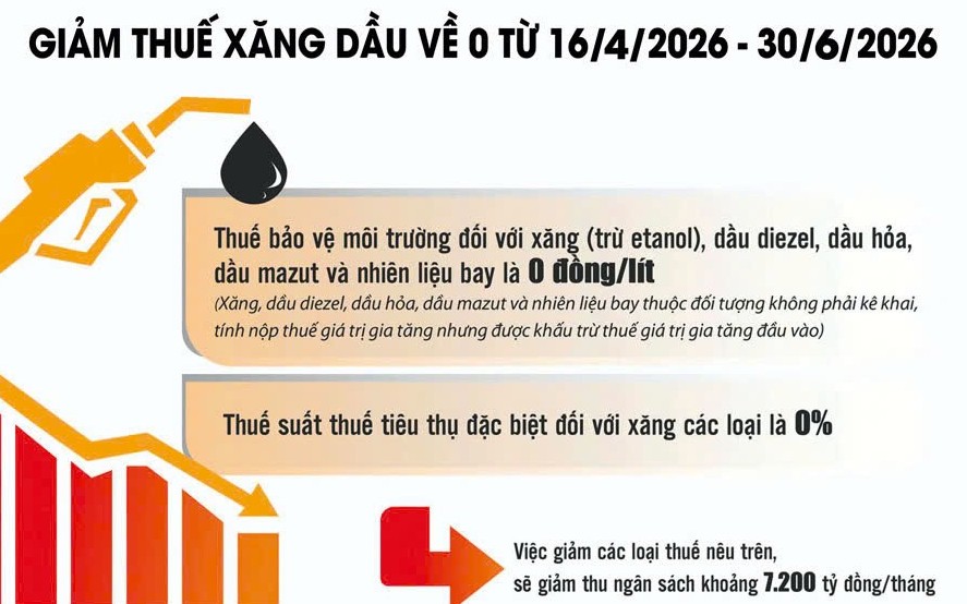 Giảm thuế xăng dầu: 