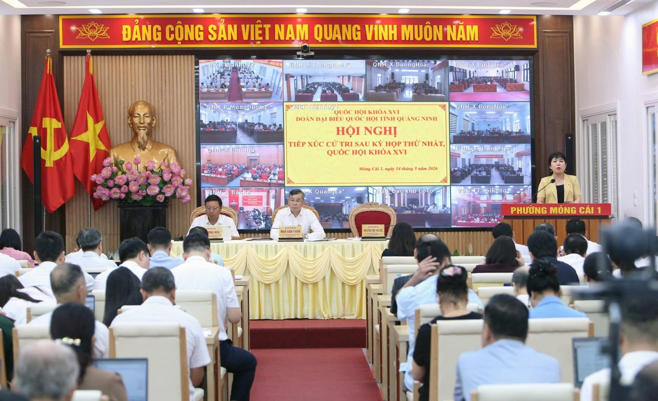 Xây dựng chính sách thu hút 