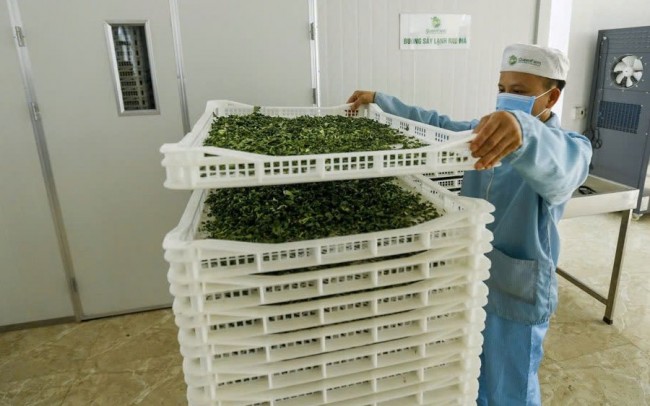 Giải “cơn khát vốn” của doanh nghiệp vừa và nhỏ qua tổ chức cho vay không nhận tiền gửi