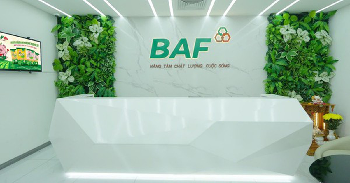 Baf Việt Nam thâu tóm thêm doanh nghiệp chăn nuôi tại Quảng Trị