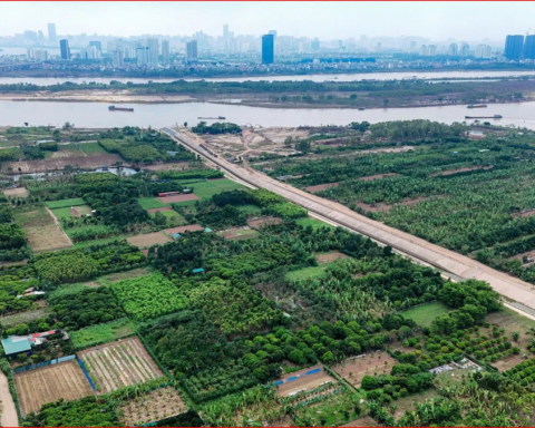 Tin vui: Người có đất nông nghiệp muốn chuyển đổi lên thổ cư thuộc trường hợp này sẽ được giảm 70% tiền sử dụng đất