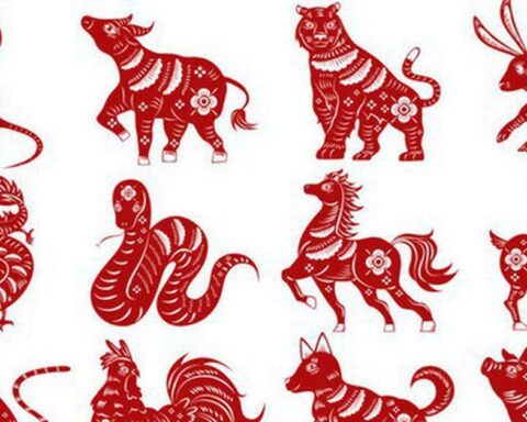 3 con giáp thông minh, tài trí, gặt hái nhiều thành công rực rỡ trong mùa hè năm Bính Ngọ
