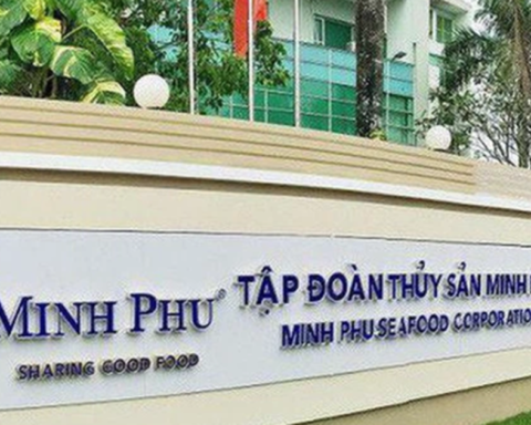 Thủy sản Minh Phú đặt mục tiêu lợi nhuận tăng 83% trong năm 2026
