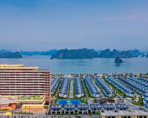 CEO Group chốt ngày phát hành hơn 28 triệu cổ phiếu trả cổ tức