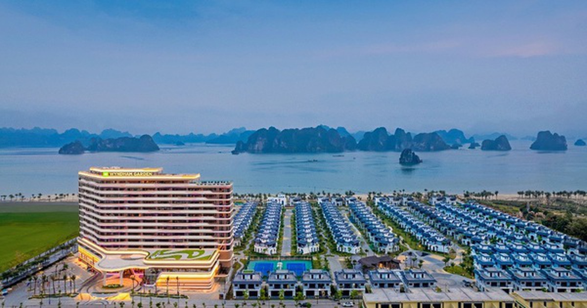 CEO Group chốt ngày phát hành hơn 28 triệu cổ phiếu trả cổ tức