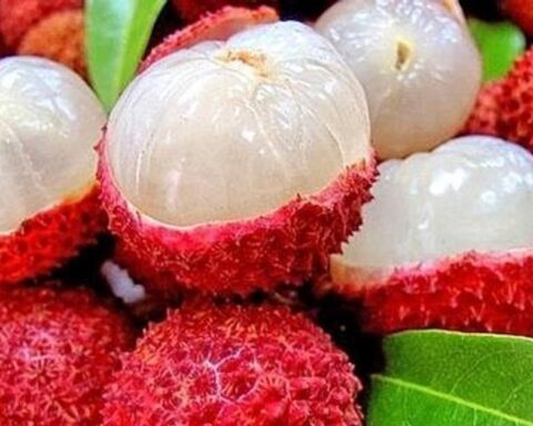 Lời khuyên khi mua vải