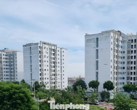 Đà Nẵng cho thuê nhà ở xã hội từ 54.000 đồng/m2/tháng