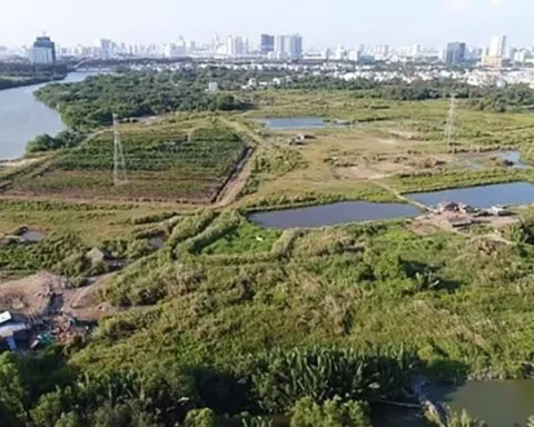 Hơn 17.000 ha đất của các dự án ở TPHCM đang chờ tháo gỡ