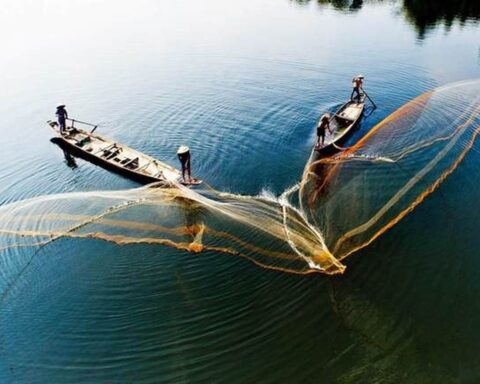 Khối nội tung hàng trăm nghìn tỷ vào chứng khoán Việt Nam, cân lại lực bán ròng từ khối ngoại