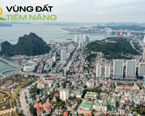 Quảng Ninh trước ngày lên thành phố trực thuộc Trung ương: Loạt ông lớn bất động sản đang nắm những “quân cờ” nào?