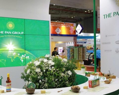 Một tổ chức liên quan đến Chứng khoán SSI trở thành cổ đông lớn PAN Group