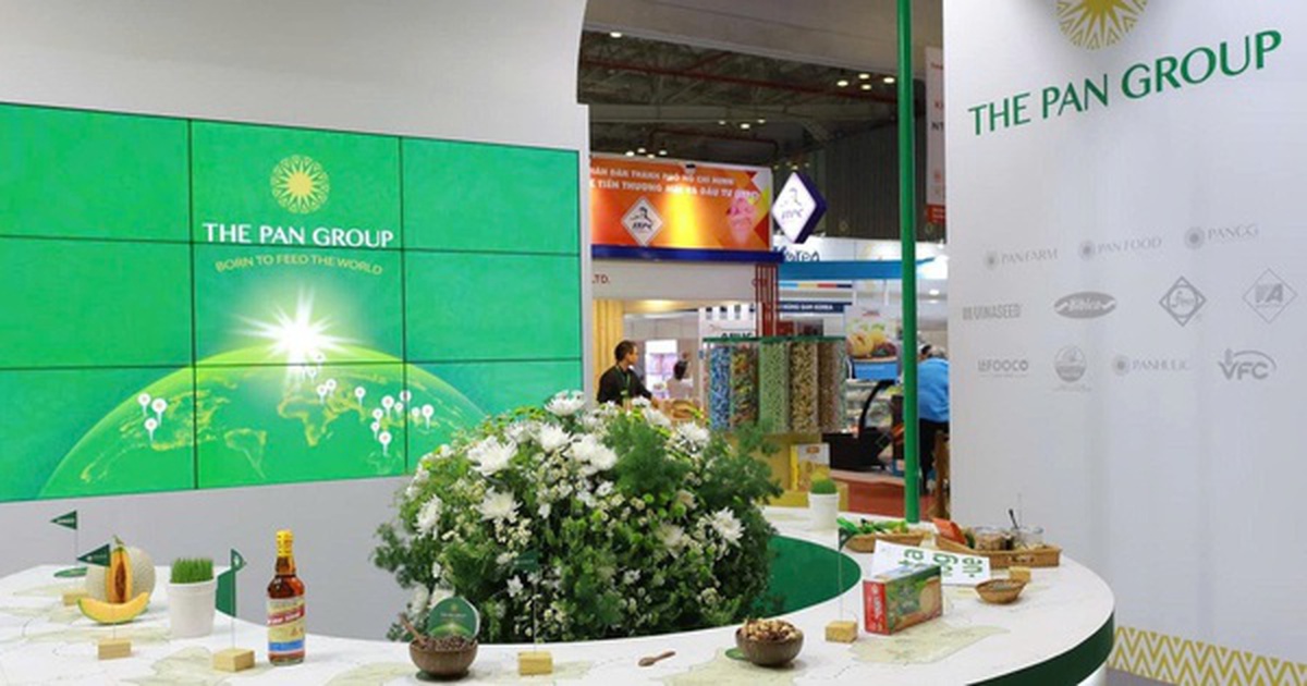Một tổ chức liên quan đến Chứng khoán SSI trở thành cổ đông lớn PAN Group