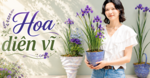 Một phụ nữ biến hoa diên vĩ thành “tác phẩm nghệ thuật”: Nhìn thôi mà ai cũng muốn trồng thử một cây trong nhà