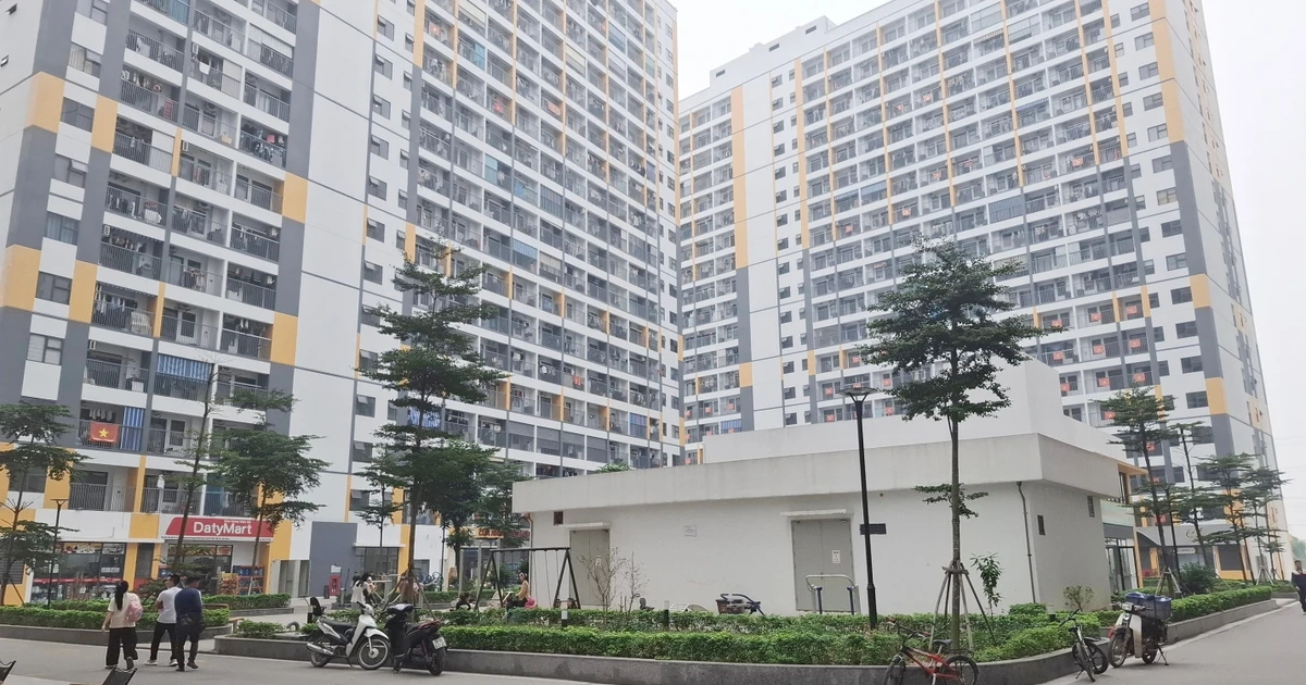Mở bán 2.000 căn nhà ở xã hội tại Bắc Ninh, giá hơn 12 triệu đồng/m²