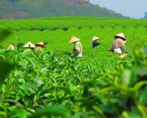 Thái Nguyên đề xuất thu hồi đất để triển khai 32 dự án