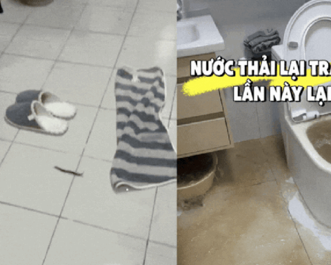 Tôi thà mua căn hộ tầng 4, 14 hay 18 còn hơn chọn 3 tầng này: Chuyển vào ở mới thấy “ác mộng” bắt đầu