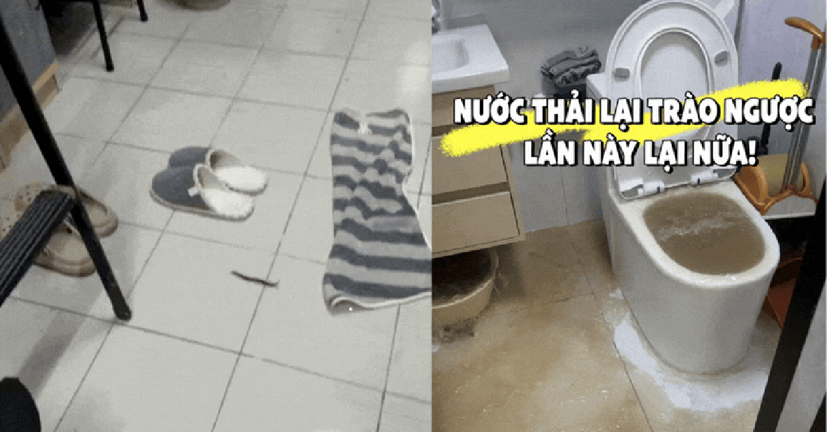 Tôi thà mua căn hộ tầng 4, 14 hay 18 còn hơn chọn 3 tầng này: Chuyển vào ở mới thấy “ác mộng” bắt đầu