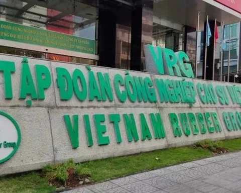 Nhiều ‘đại bàng’ Việt không đáp ứng điều kiện công ty đại chúng