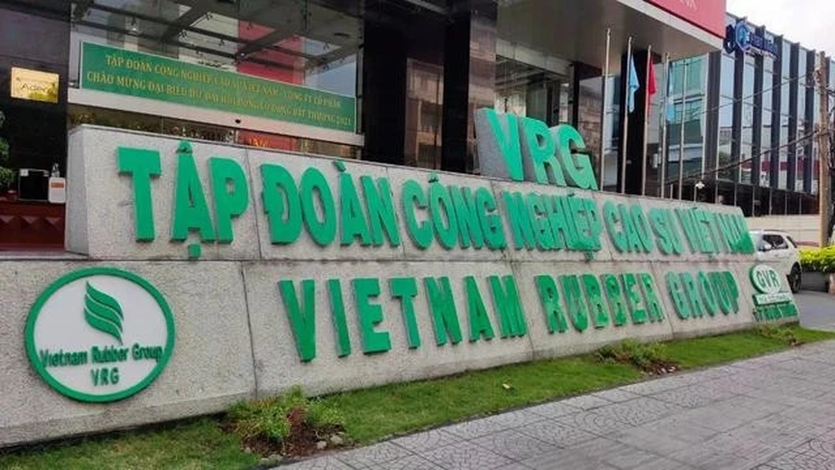 Nhiều ‘đại bàng’ Việt không đáp ứng điều kiện công ty đại chúng