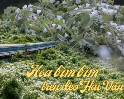 Việt Nam có cung đường đang xảy ra hiện tượng “tuyết mùa hè” phủ trắng đèo đẹp như phim