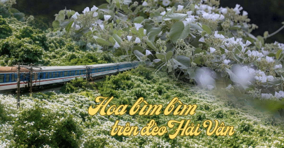 Việt Nam có cung đường đang xảy ra hiện tượng “tuyết mùa hè” phủ trắng đèo đẹp như phim