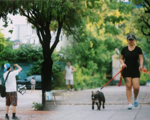 Hà Nội sáng nay thật lạ: Giữa tháng 6 mà se lạnh như mùa thu, người dân tận hưởng cảm giác 12 năm mới xuất hiện