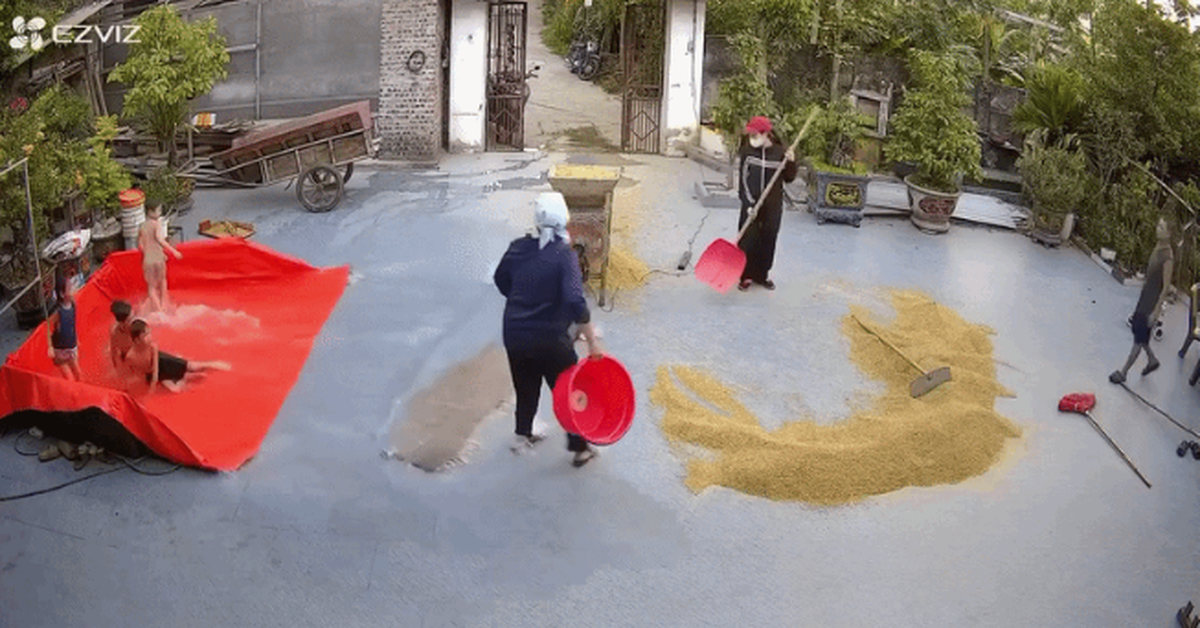 Cảnh tượng bất ngờ trong sân nhà của một gia đình ở Hà Nội có 5 trẻ đang nghỉ hè
