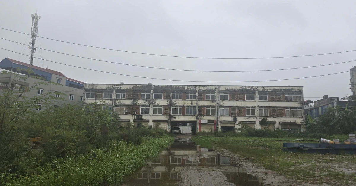 Áp lực bủa vây, doanh nghiệp BĐS buộc phải “thay máu” để sống sót trong chu kỳ mới