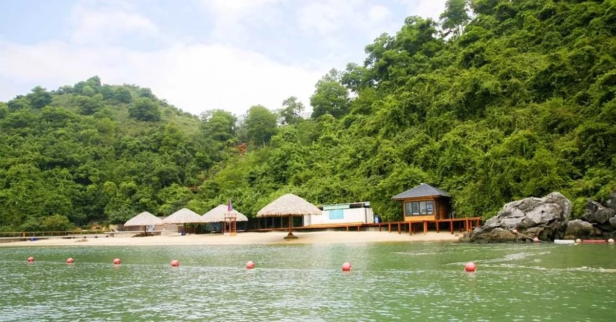 Bãi biển ở Việt Nam tên rất lạ, ít người biết, vào top đẹp nhất thế giới