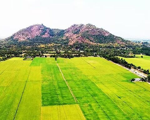 Ngôi làng ở VN mưa xuống có lúc nhặt được vàng: Khai quật hơn 100 cổ vật, 19 món thành bảo vật quốc gia